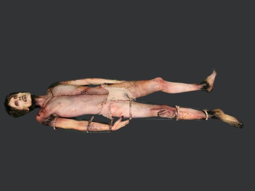 AUTOPSY SLOTH 2021 SERIES: GLASS EYES AND LIMB BRACES -79″