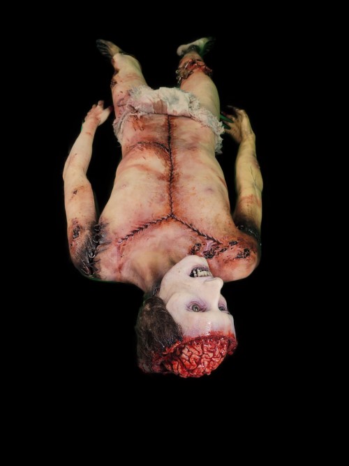 SLOTH WITH CRANIAL CUT & EXPOSED KNEE CAP