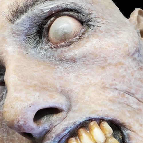 SLOTH DECAY