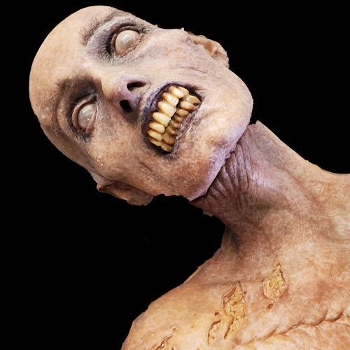 SLOTH DECAY, фото 2