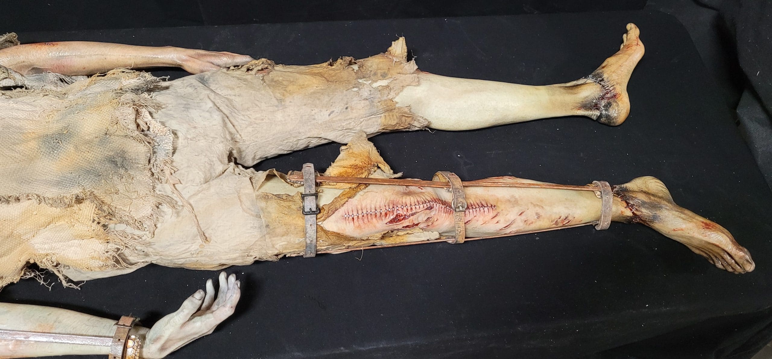 AUTOPSY SLOTH ESCAPE, фото 2