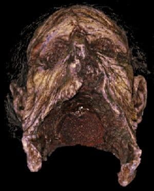 SPLIT CORPSE HEAD
