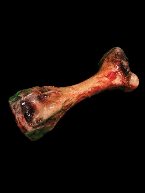 STEER FEMUR