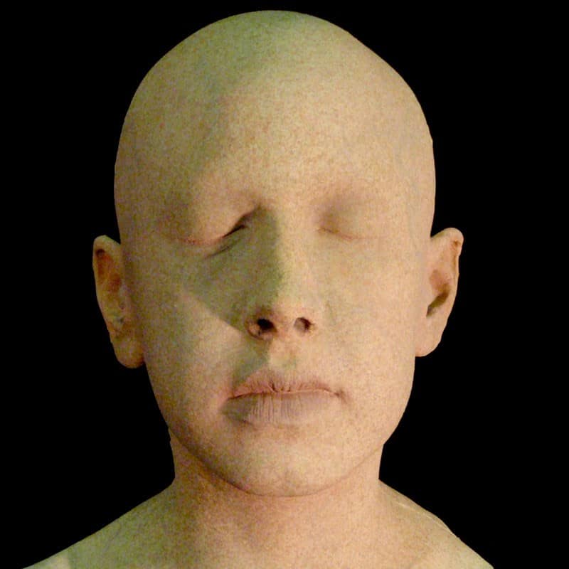 TAYLOR KID HEAD