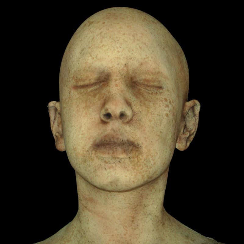 TAYLOR HEAD-ZOMBIE