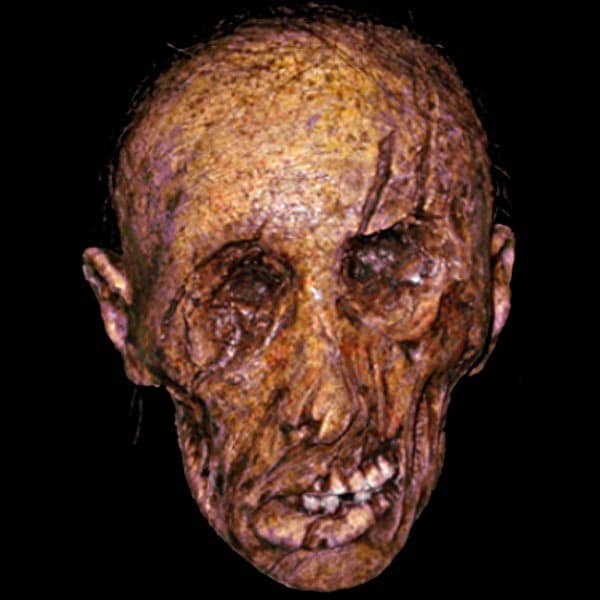 TINY CORPSE HEAD