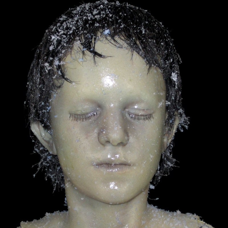 TROY HEAD-FROZEN -w/HAIR