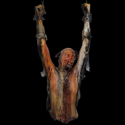 UPPER TORSO RICH ACID