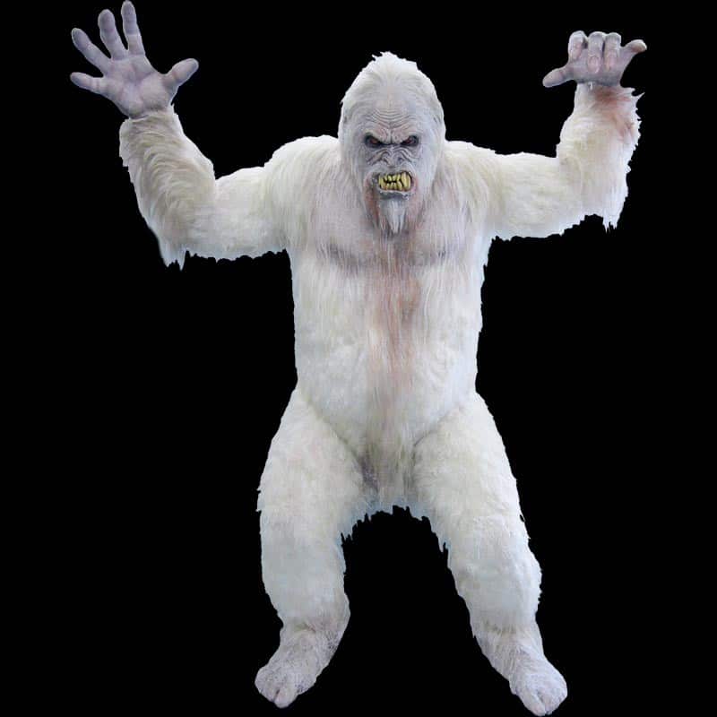 YETI PHOTO OP
